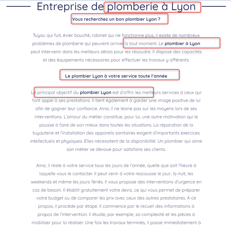 Exemple contenu SEO Lyon par un consultant SEO