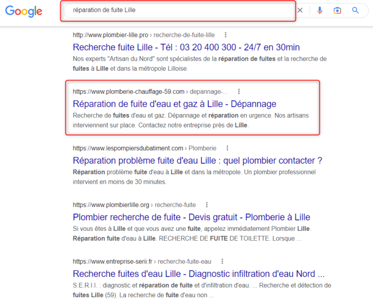SERP GOOGLE LILLE - EXEMPLE CONSULTANT SEO LILLE