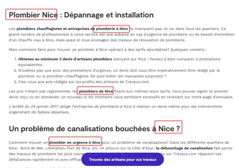exemple consultant SEO Nice